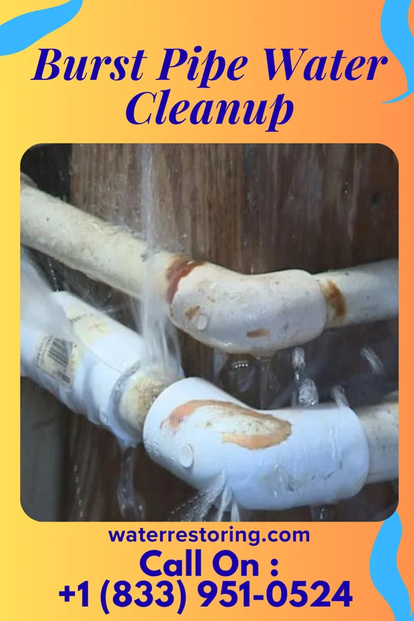 Burst Pipe Water Cleanup in Cathcart, WA