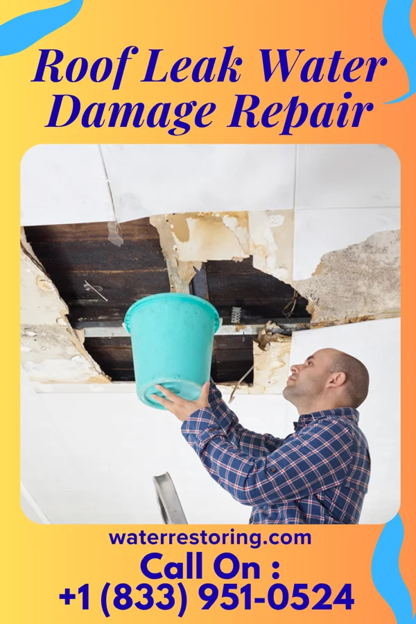 Roof Leak Water Damage Repair in Cathcart, WA